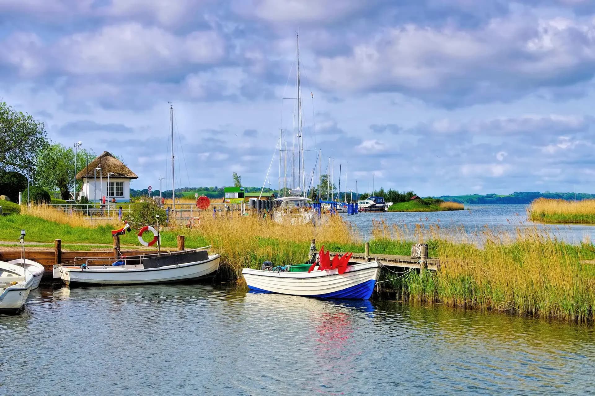 Boddenhafen mit Schilf und Booten bei Rügen